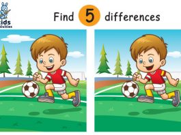 Spot 5 Differences Between Two Pictures Printable