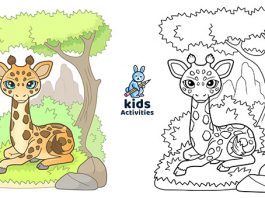  Animal printable coloring pages for kids