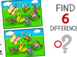 Spot the 6 differences between the two pictures