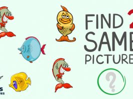 Find Two Same Pictures Educational Game