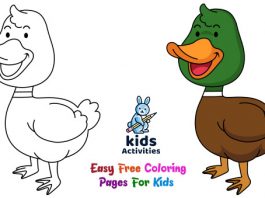 Here you can find an amazing collection of Animal printable coloring pages for kids with black and white images of wild animals. Interestingly, you can download these wonderful pictures for free.