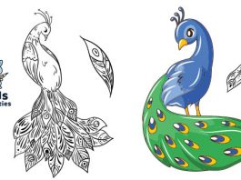 Free, Printable Peacock Coloring Pages
