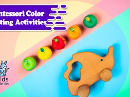 Montessori color activities