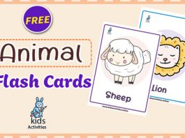 animal flashcards cover