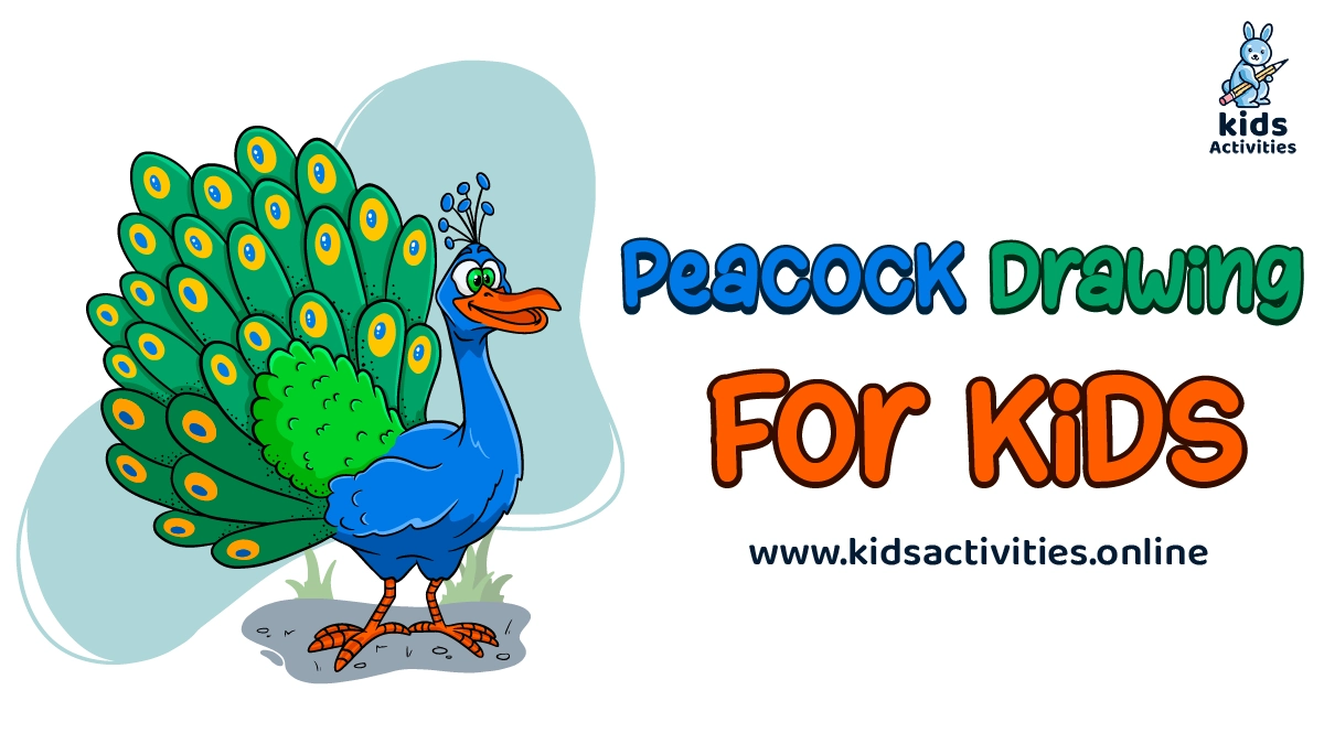 Peacock Drawing for Kids: How to Draw a Peacock